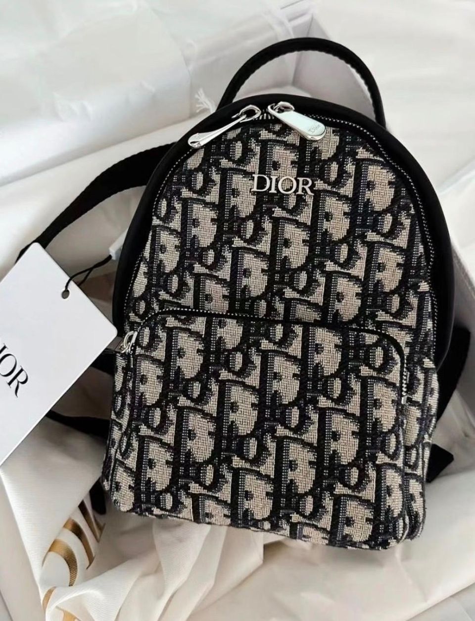 Dior 迷你双肩包 1